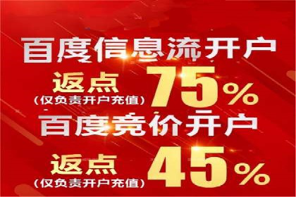 竞价广告案例分析：品牌成功之道